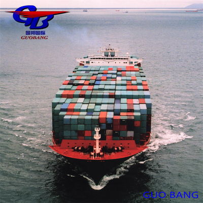 Servizio marittimo Capacità doganale Importazione e sdoganamento da e verso l'Europa con 8000-10000 kg Total Supply