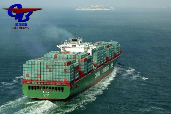 Servizio marittimo Capacità doganale Importazione e sdoganamento da e verso l'Europa con 8000-10000 kg Total Supply