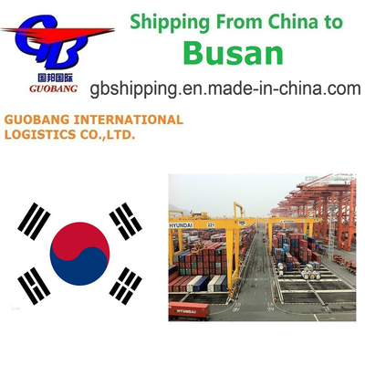 Servizi di spedizione giornalieri migliori partenze da a Busan, Corea, fornitura totale 1000 teu/mese