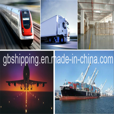 Guobang Guobang International Logistics Co. Trasporto aereo e marittimo economico LCL FCL Corriere Da/Per USA Los Angeles/New York