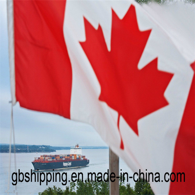Servizio di tracciamento in linea di 24 ore fornito da esperti per il trasporto aereo / marittimo verso il Canada