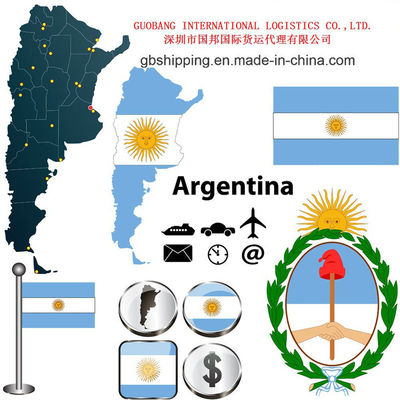 Servizio di Aviazione Internazionale Il Vostro Fornitore di Fiducia per il Trasporto Aereo Internazionale Da a Argentina