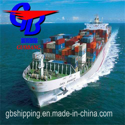 Trasporti marittimi da Arabia Saudita Total Supply 5000-8000 kg e servizi speciali Combinato Spedizione da diversi fornitori