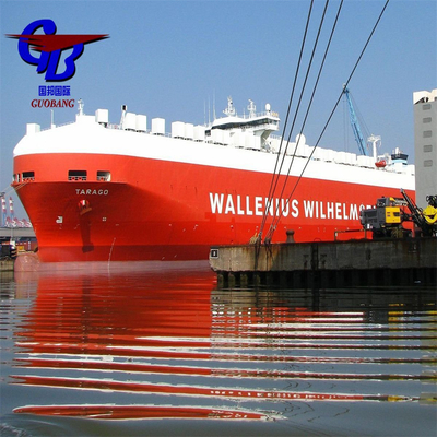 Csav Sea Shipping to Mexico Co/Fa/Fe/FF Servizio Aggiuntivo per Prodotti da Vendere