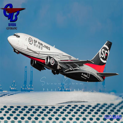 Guobang Airfreight One Stop Service Booking-Pick-up-Custom Clearance-on Board per le spedizioni aeree da Guobang a Lione