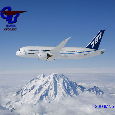Guobang Airfreight One Stop Service Booking-Pick-up-Custom Clearance-on Board per le spedizioni aeree da Guobang a Lione