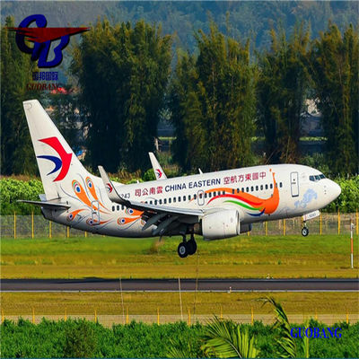 Guobang Airfreight Il tuo partner per lo sdoganamento e la spedizione aerea senza problemi da a Los Angeles