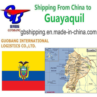 Servizi professionali di spedizione aerea da Shanghai a Guayaquil per le esigenze della tua azienda