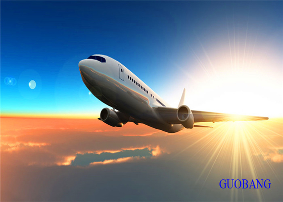 SGS Trasporto Aereo EK dalla Cina alla Francia