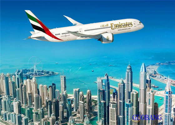 Cina a Stoccolma TK International Air Freight