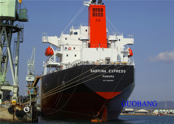 Il miglior trasporto marittimo internazionale da Shenzhen/Guangzhou/Zhongshan/Foshan/Jiangmen/Shantou/Hong Kong a Singapore