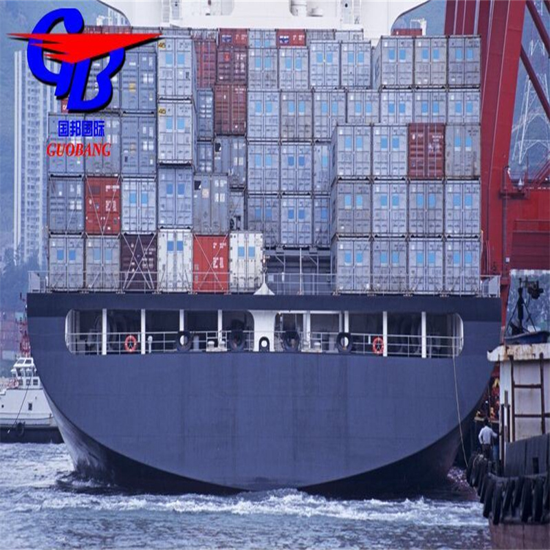 Servizio di trasporto marittimo su misura FCL/LCL da America Importazione e sdoganamento con le prime 10 compagnie di navigazione