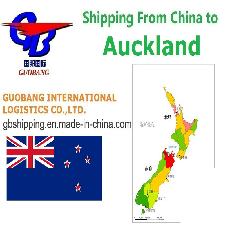 Prenotazione Servizi Unici - Ritiro - Sdoganamento - A bordo Migliori Servizi di Spedizione Da a Auckland