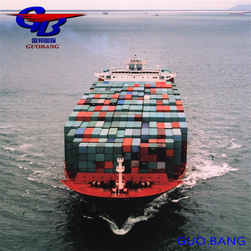 Servizio marittimo Capacità doganale Importazione e sdoganamento da e verso l'Europa con 8000-10000 kg Total Supply