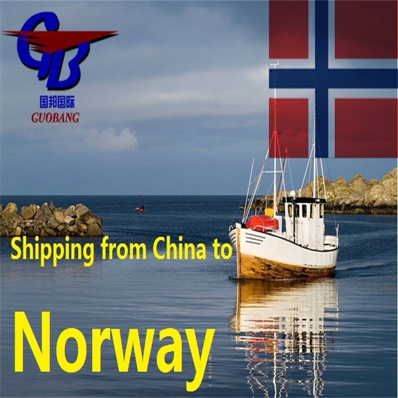 Spedizione da e per la Norvegia con Il Servizio Professionale CIQ/CO/FORM A/ SOSA/CCPIT VERIFICATO e Offerta Più Competitiva