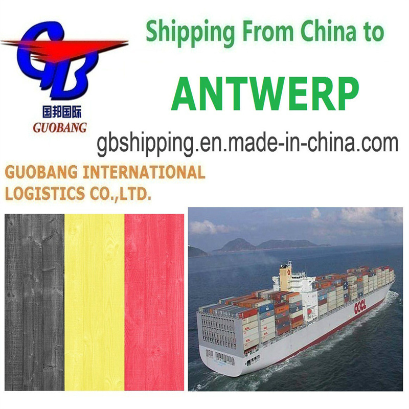 Migliori servizi di spedizione da Anversa a Anversa Freight aereo-marittimo LCL FCL Corriere con tempo di transito rapido entro 1-15 giorni