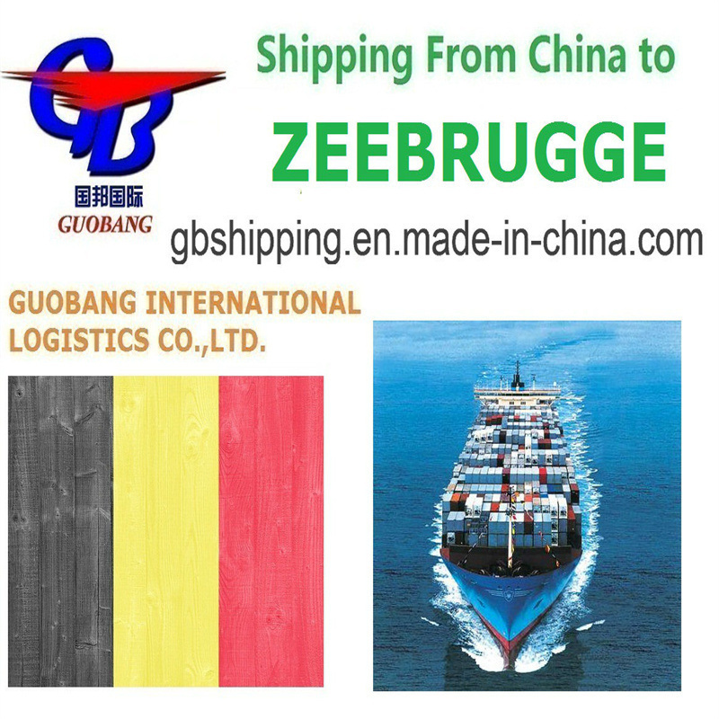 Servizi di trasporto marittimo convenienti e personalizzabili da Zeebrugge in Belgio Freight aereo marittimo LCL FCL Courier