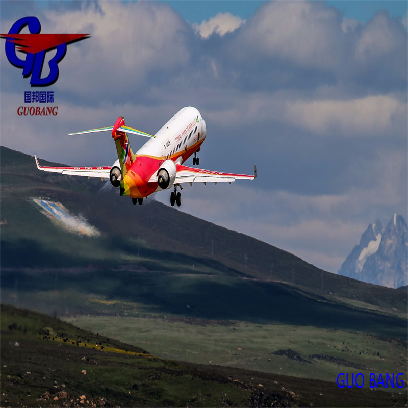 Servizio di spedizione marittima e aerea per lo sdoganamento doganale da a Giappone RF Spedizione affidabile e conveniente
