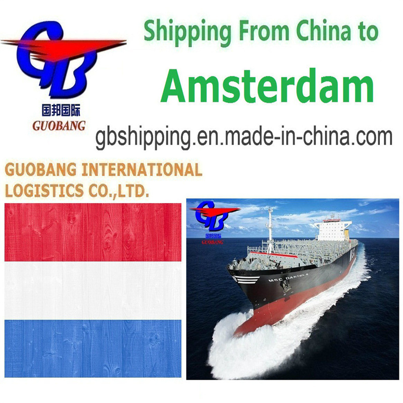 Trasporto di merci da fornitori in porto/magazzino Total Supply 1000teu/month Servizi di spedizione verso Amsterdam Paesi Bassi