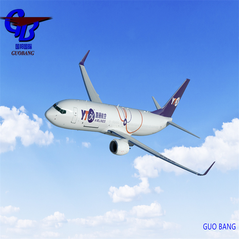 Il miglior servizio di trasporto aereo merci da Guangdong all'Europa tramite DHL/FedEx/UPS/Aramex/TNT International Aviation Service