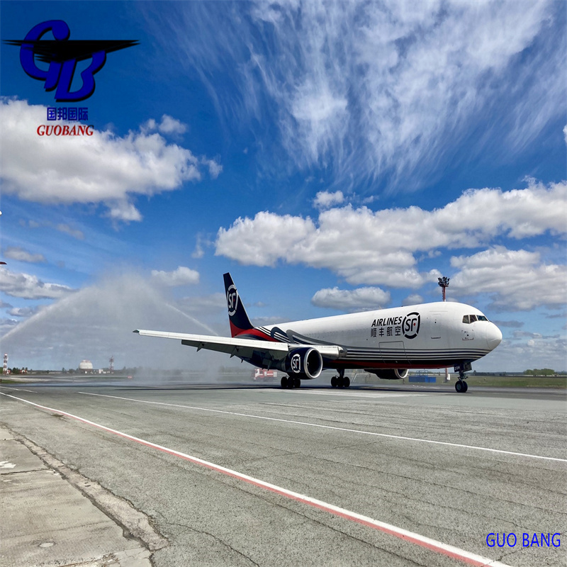 Servizio di trasporto aereo sicuro per Antille Olandesi CIQ/CO/FORM A/ SOSA/CCPIT VERIFICATO da International Aviation Service