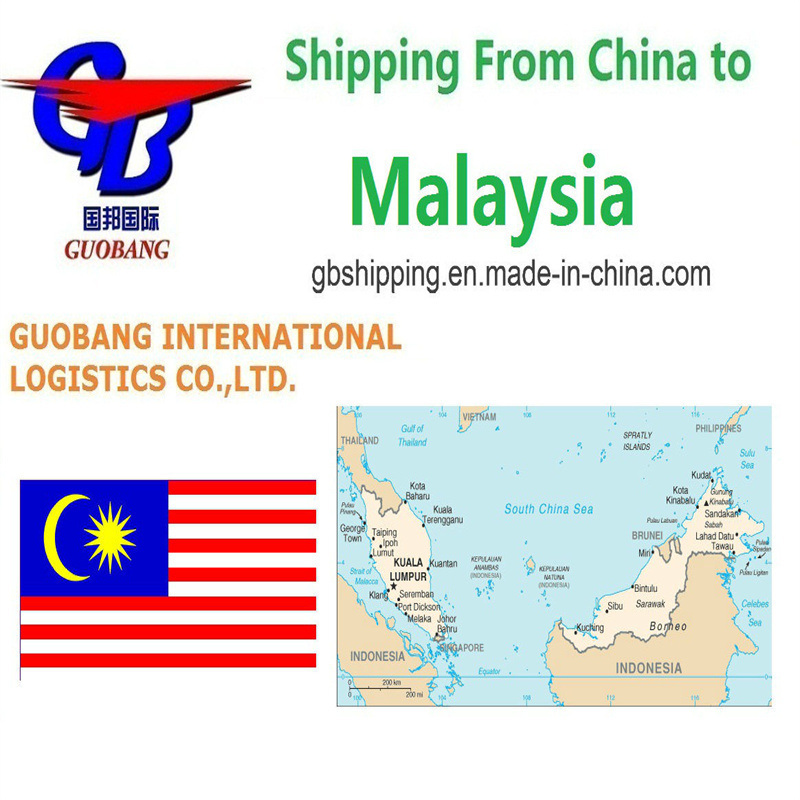 Trasporto merci dai fornitori al porto/magazzino Veloce e conveniente Servizi di spedizione aerea da a Malesia