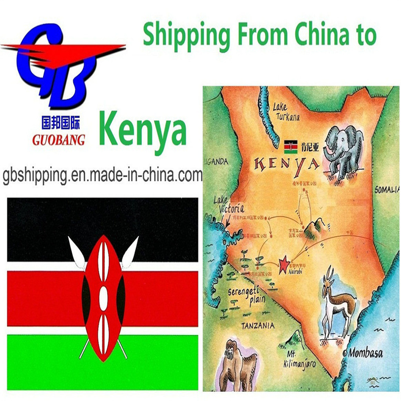 Trasporto merci dai fornitori al porto/magazzino e spedizione rapida in Kenya tramite aereo espresso con Guobang Airfreight