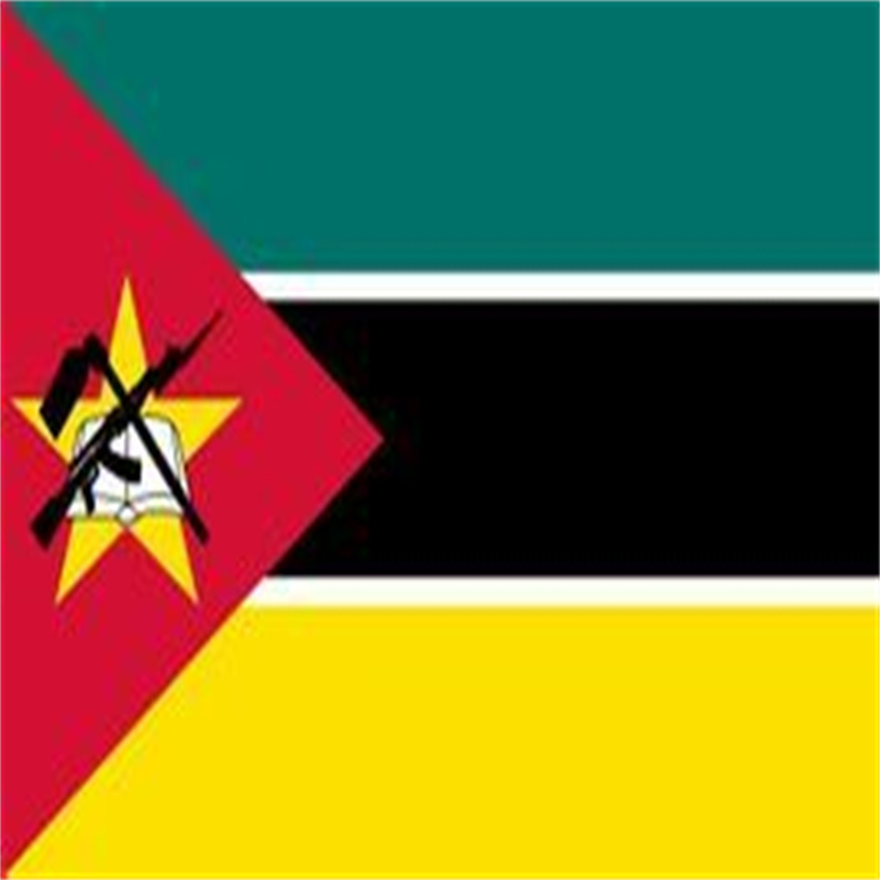 Spedizione conveniente da a Mozambico via aerea Servizio aggiuntivo Co/Fa/Fe/FF Servizio Espresso UPS