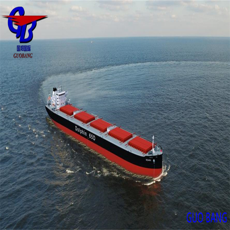 Partenze giornaliere FCL/LCL via mare per gli Emirati Arabi Uniti, Medio Oriente, con spedizioni marittime e oceaniche giornaliere