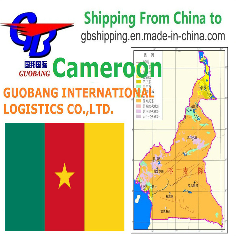 Spedizione da Camerun via mare Co/Fa/Fe/FF Servizio aggiuntivo Partenza Shenzhen/HK//Shanghai/Tianjin