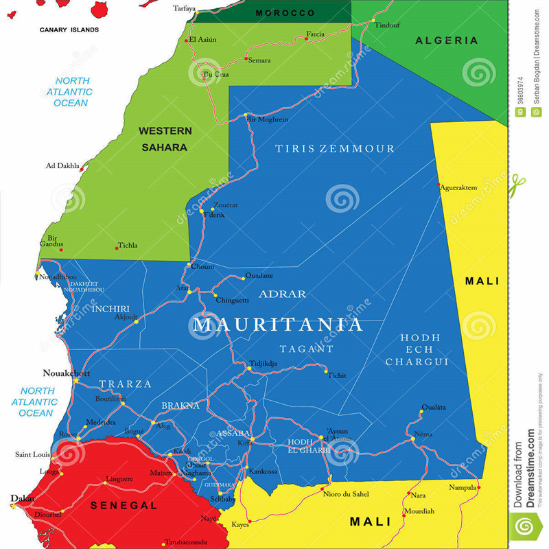 Spedizione da Mauritania via mare Trasporto su camion Ritiro dai fornitori al porto/magazzino Tipo di spedizione FCL e LCL Spedizione