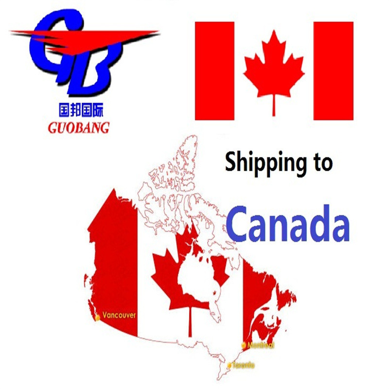 Spedizioni marittime dal Canada al nostro obiettivo Risparmi sui costi per le specifiche aziendali