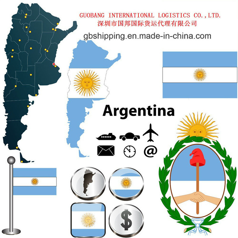 Servizio di Aviazione Internazionale Il Vostro Fornitore di Fiducia per il Trasporto Aereo Internazionale Da a Argentina