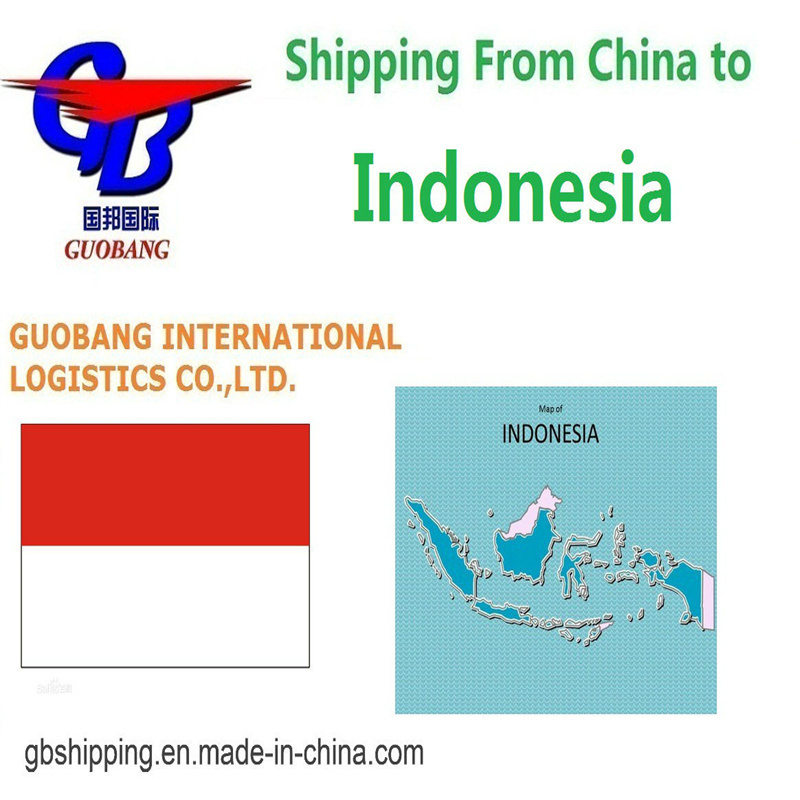 Servizi di spedizione DDP da a Indonesia con servizi aggiuntivi Co/Fa/Fe/FF tramite Guobang Airfreight - Asia