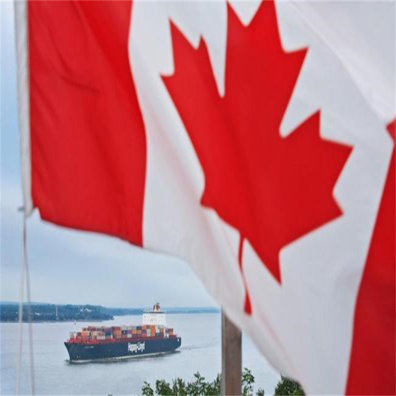 Trasporto merci dai fornitori al porto/magazzino Soluzioni affidabili di spedizione merci da Shanghai/Shenzhen/ al Canada