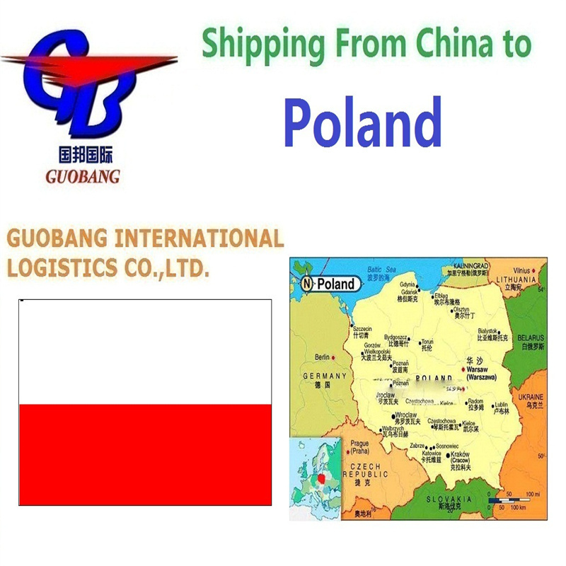 Trasporto giornaliero via camion con ritiro dai fornitori Spedizione Gdynia Polonia FCL LCL Container a Porto/Magazzino