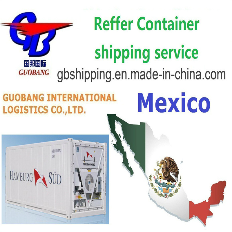 Csav Sea Shipping to Mexico Co/Fa/Fe/FF Servizio Aggiuntivo per Prodotti da Vendere