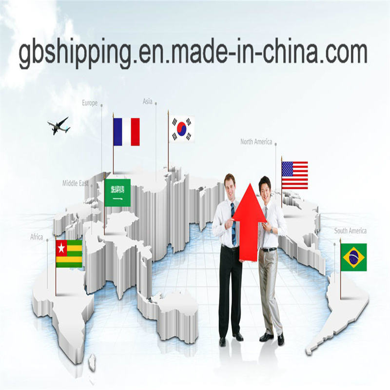 Servizio di spedizione container da a tutto il mondo. La nostra credibilità è verificata da SGS e con fornitura totale di 8000-10000 kg