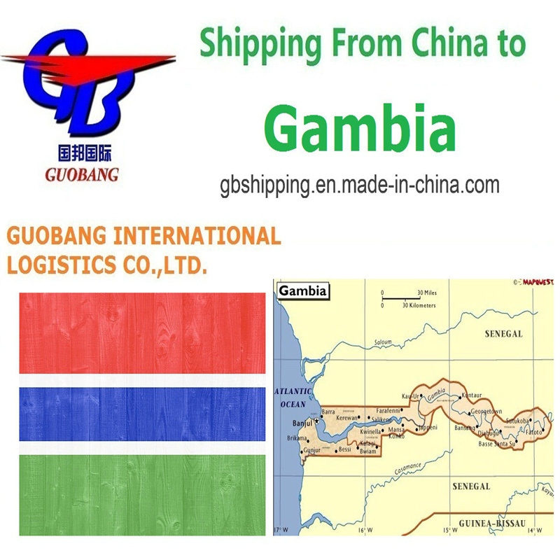 Servizi professionali di trasporto aereo da Gambia One Stop Booking-Pick-up-Custom Clearance-on-board