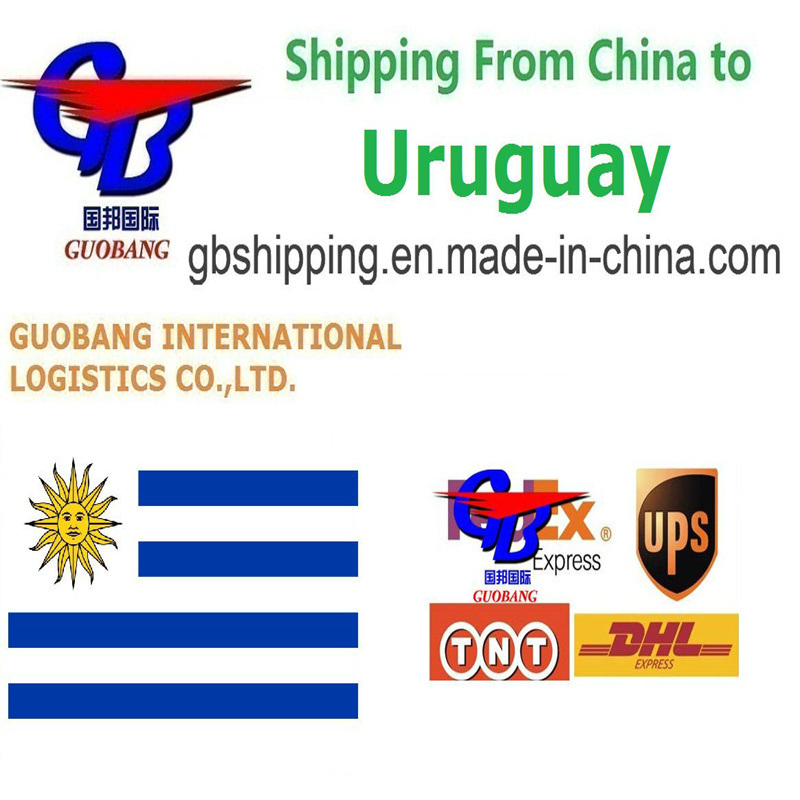 Servizio di trasporti in camion da fornitori a porto/magazzino per il trasporto da Uruguay