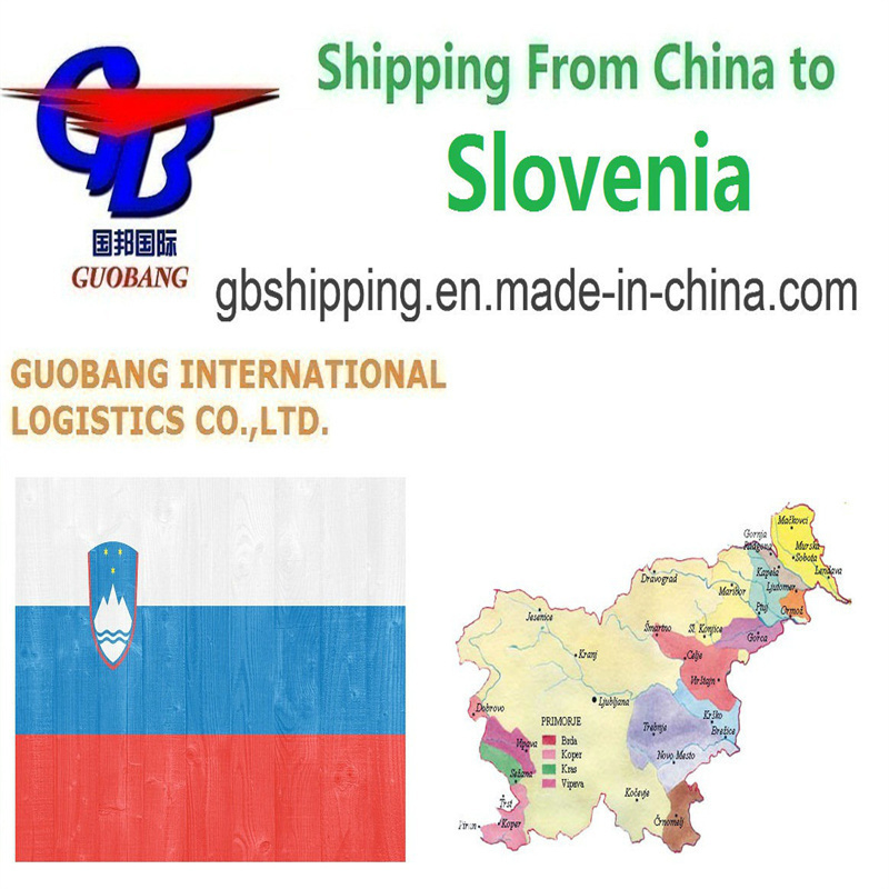 Guobang Airfreight Fast and Trucking pick-up da fornitori a porto/magazzino per servizi di trasporto aereo da Slovenia