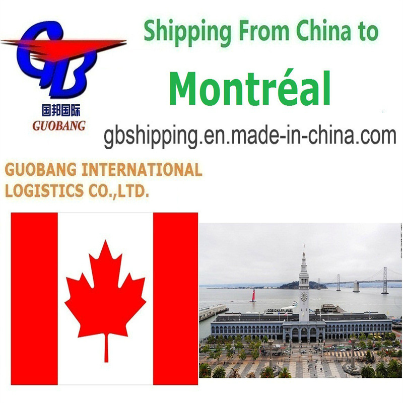 Servizio Espresso DHL Trasporto Aereo Marittimo Conveniente e Accessibile LCL FCL Spedizioni Corriere a Montreal